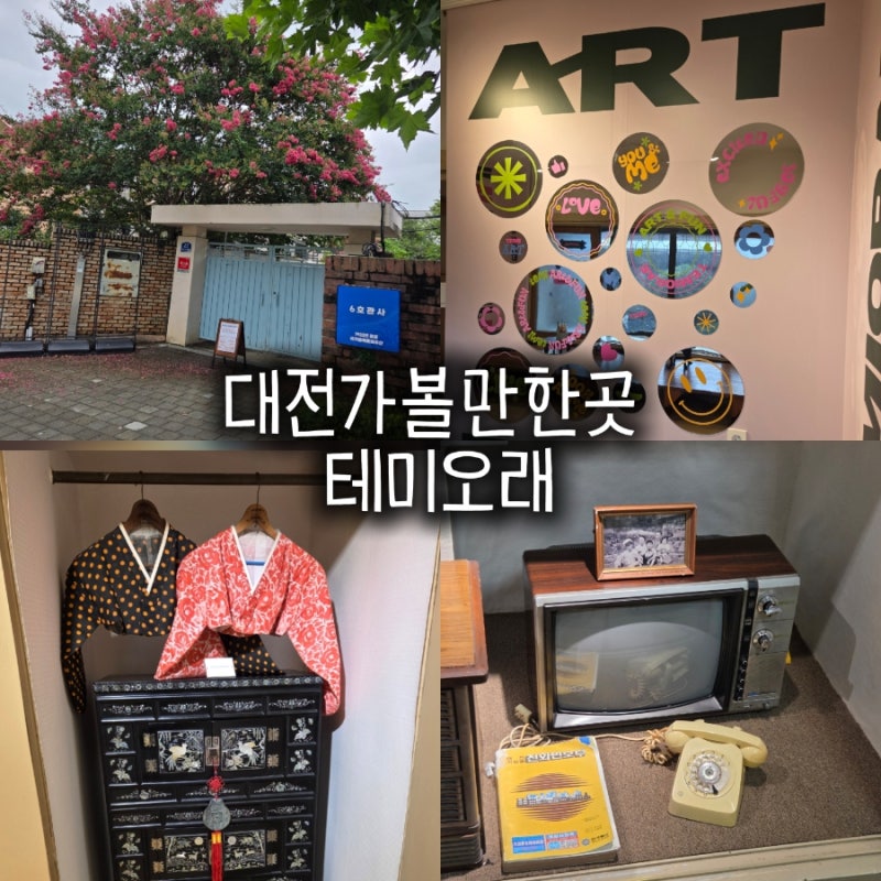 대전 실내 데이트 테미오래 다양한 체험부터 주차 카페 입장료 총정리
