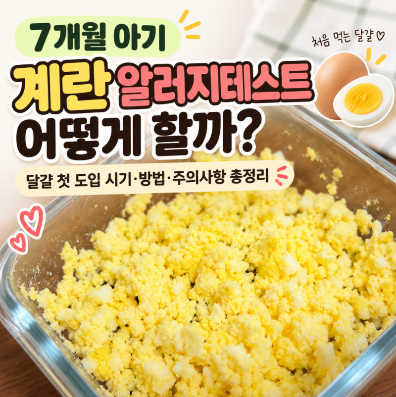 7개월 아기 계란 알러지테스트 어떻게 할까? 달걀 첫 도입 시기·방법·주의사항 총정리