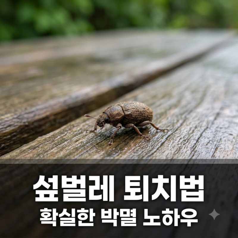 "먼지다듬이인 줄 알았는데.." 집안 곳곳 나타난 섶벌레 정체와 퇴치법