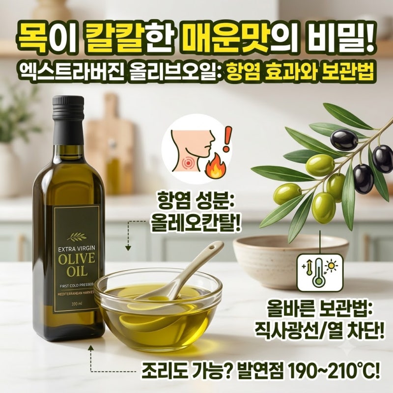 목이 칼칼한 매운맛의 비밀! 엑스트라버진 올리브오일 항염 효과와 보관법
