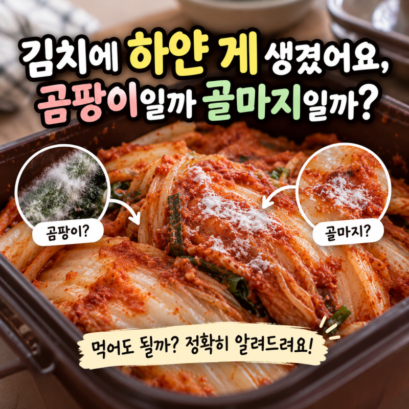김치에 하얀 게 생겼어요, 곰팡이일까 골마지일까?
