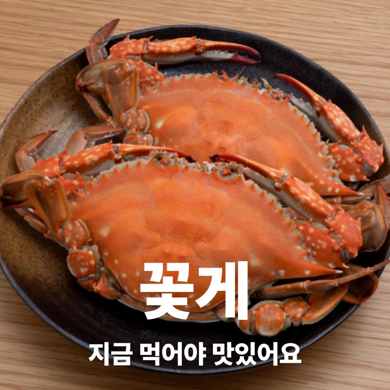꽃게 제철과 금어기, 암꽃게 수꽃게 차이 알고 먹어요