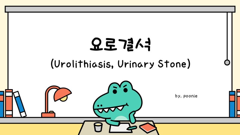 소변도 못 보고 옆구리가 너무 아파요.. - 요로결석(Urinary Stone) 총정리