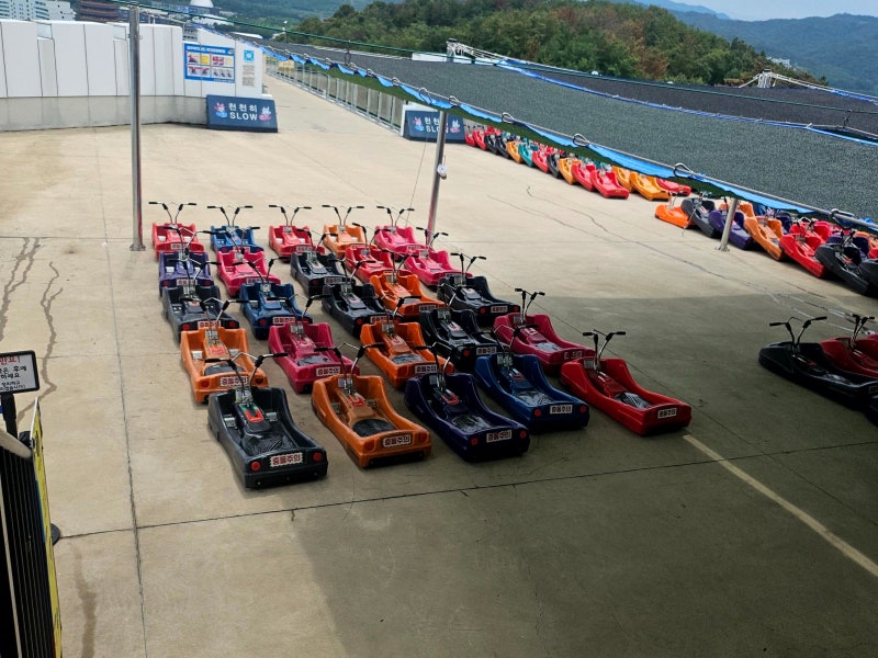Gyeongju Hotspot: Bomun Complex Attractions, Enjoying Activities at Gyeongju Luge World