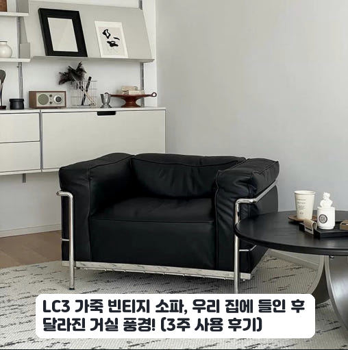 2인용 LC3 가죽 소파, 거실에 들인 한 달 후기