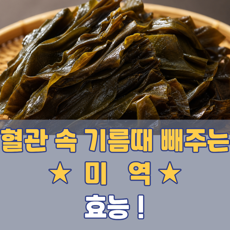 "오독오독 볶아 먹었더니" 혈관 속 기름때 쏙 빼주는 3위 국민 반찬 | 미역 효능 식이섬유 콜....