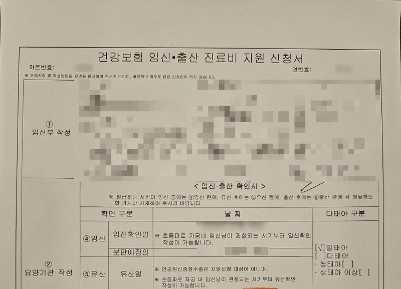 ESTJ 임산부가 알려주는 '임신확인서' 발급시기 (심장소리? 난황? 아기집?) + 발급받고 해야할....