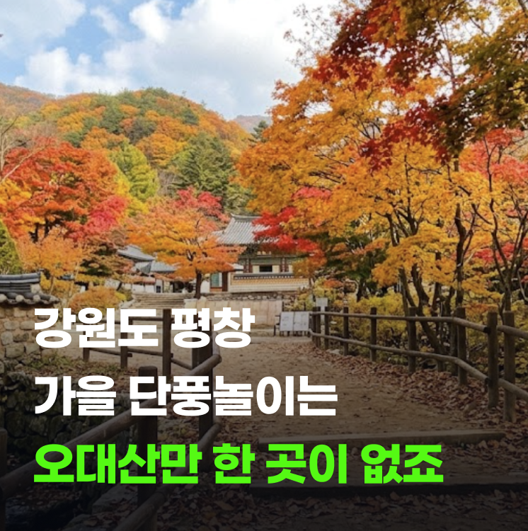 2026 오대산 단풍 절정 시기 제대로 즐길 수 있는 등산 코스