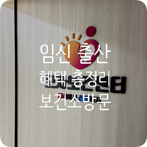 서울 임신 출산 혜택 총정리 (보건소 방문, 몽땅육아)