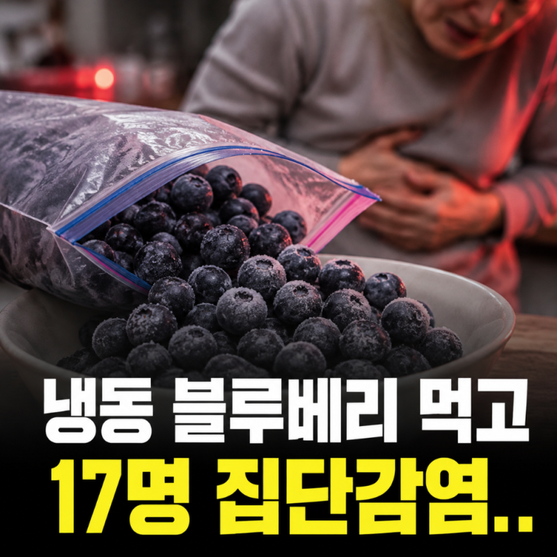 냉동 블루베리 먹고 17명 집단감염…꽁꽁 얼려도 살아남은 정체