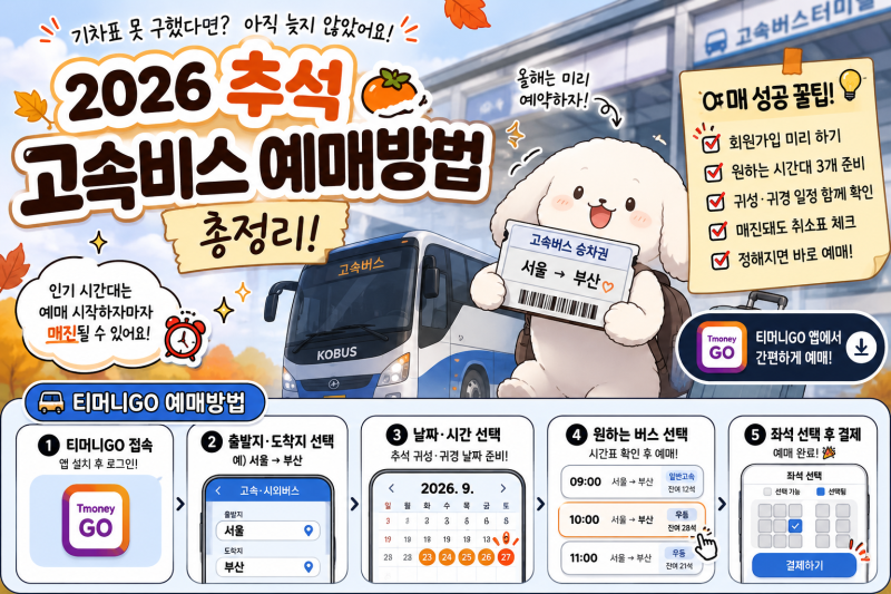 2026 추석 고속버스 예매 방법｜예매 일정·티머니GO·취소표 확인