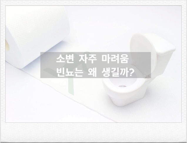 소변 자주 마려운 이유 5가지, 빈뇨가 계속되면 방광염보다 먼저 확인해 볼 것