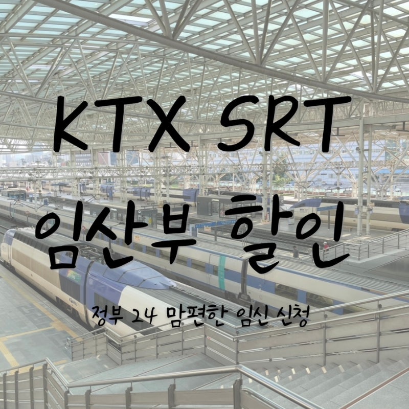 임산부 혜택｜KTX SRT 40% 할인 신청방법 총정리 | 맘편한 임신 (동반 1인 가능!)