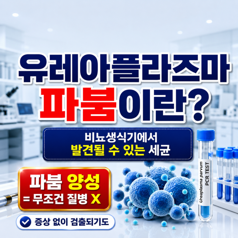 유레아플라즈마 성병일까? 파붐, 티쿰 원인과 남자, 여자 증상 총정리