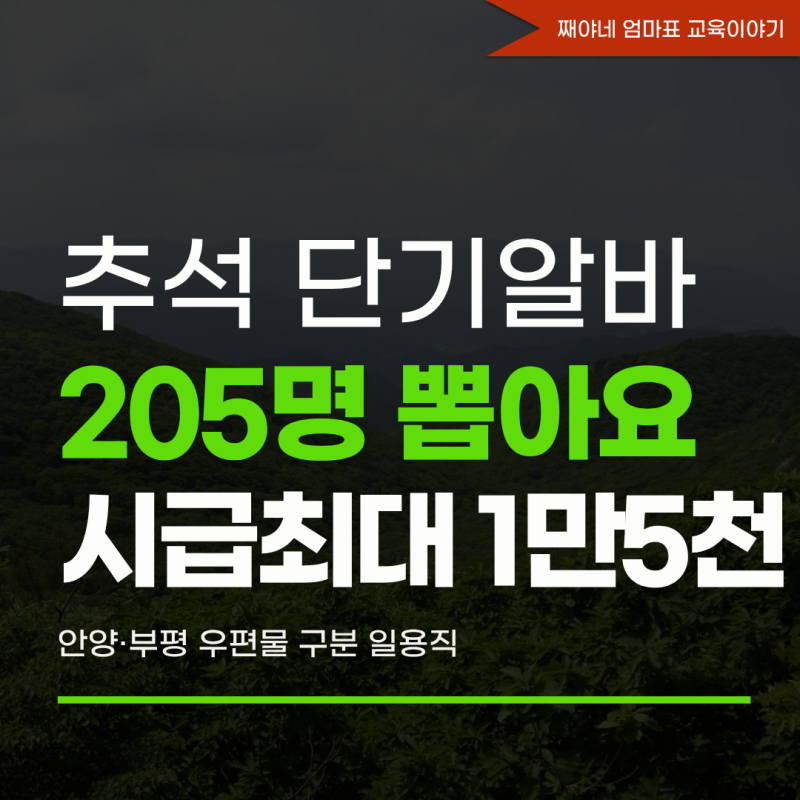 우체국물류지원단 추석 단기알바 205명 채용, 안양 부평 우편물 구분 일용직