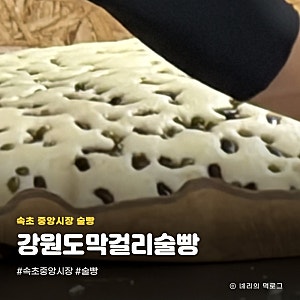 [속초] 중앙시장 술빵 맛집 강원도막걸리술빵 내돈내산 / 가격, 보관법, 데우는 방법