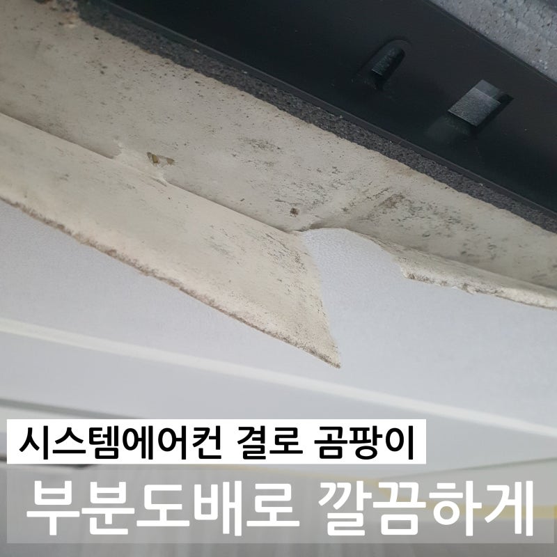 시스템에어컨 결로 곰팡이 제거｜에어컨 앞쪽 천장 부분도배