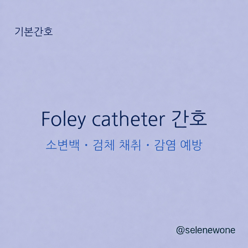 Foley catheter 간호 핵심정리｜유치도뇨관 관리·소변 검체 채취·UTI 예방