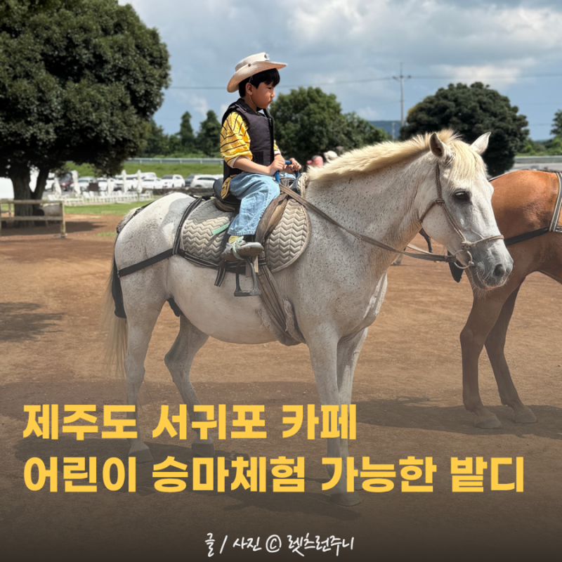 제주도 서귀포 카페 밭디 제주 어린이 승마체험