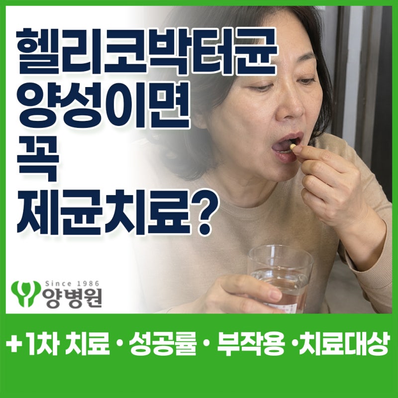 헬리코박터균 양성이면 꼭 제균치료를 해야 할까요? 치료 대상·1차 치료·성공률·부작용 총....