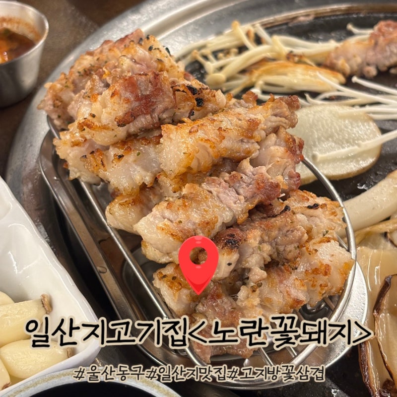 울산동구고기집 일산지맛집 구워주는고기집 노란꽃돼지