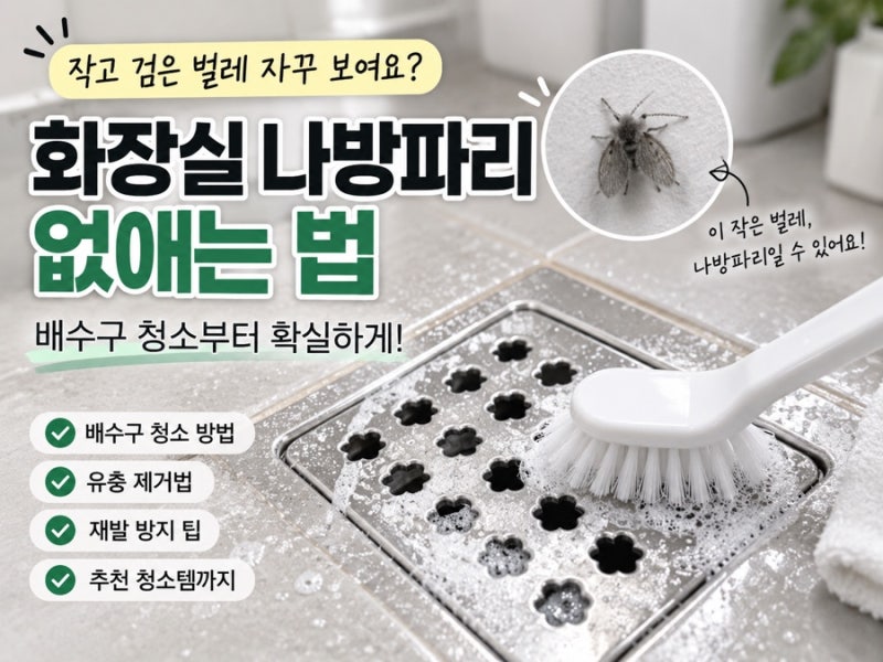 화장실 나방파리 없애는 법｜배수구부터 잡아야 하는 이유