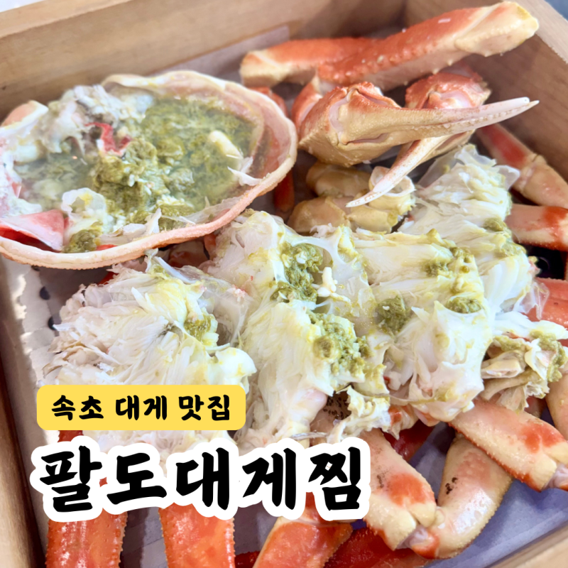속초대게맛집 추천 팔도대게찜 대게 수율부터 스끼다시까지 야무지게!