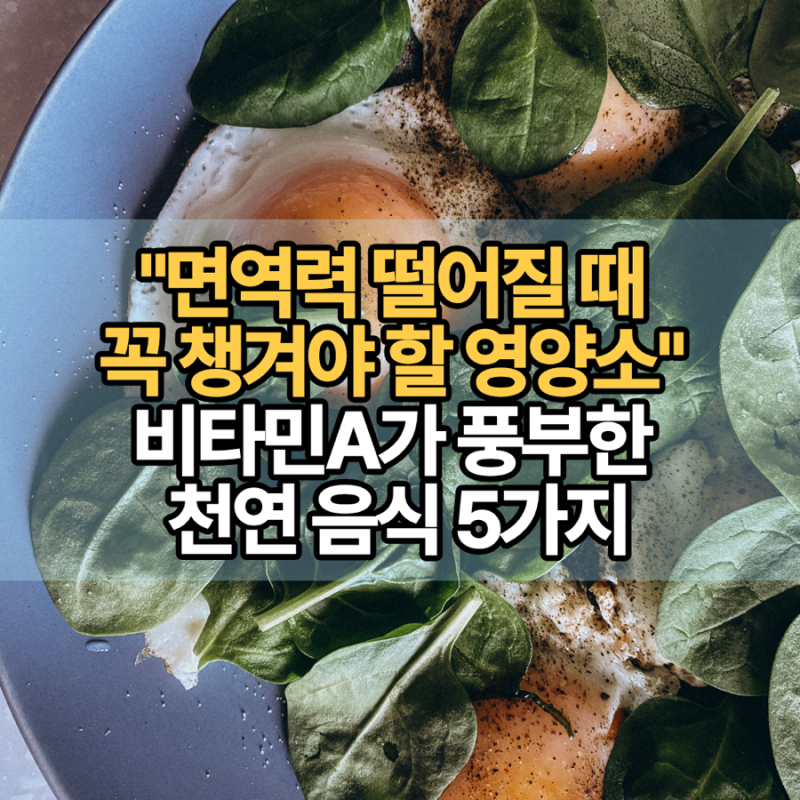 면역력 떨어질 때 꼭 챙겨야 할 영양소! 비타민A가 풍부한 천연 음식 5가지