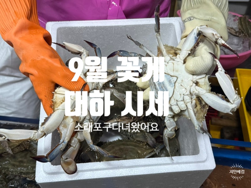 소래포구 꽃게 대하 시세 추천금액 및 신선한 꽃게 대하 고르는법