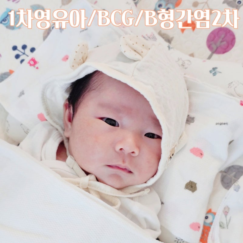 도안엠블 1차 영유아검진 시기 신생아 BCG B형간염 2차 접종 후기