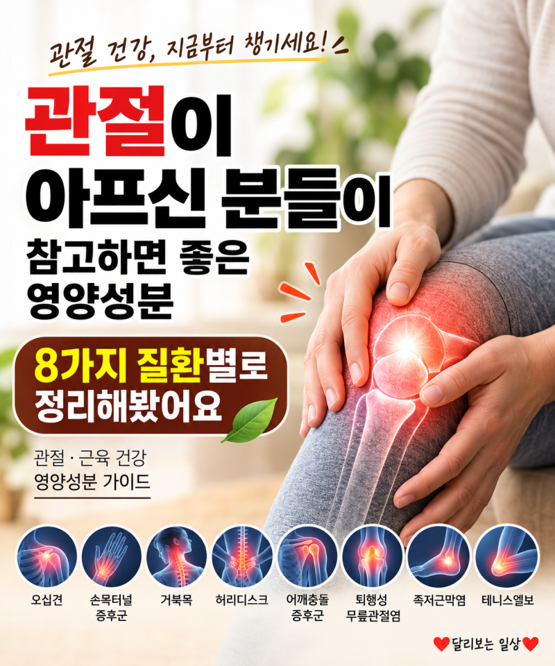 관절이 아프신 분들이 참고하면 좋을 영양성분, 8가지 질환별로 정리해봤어요