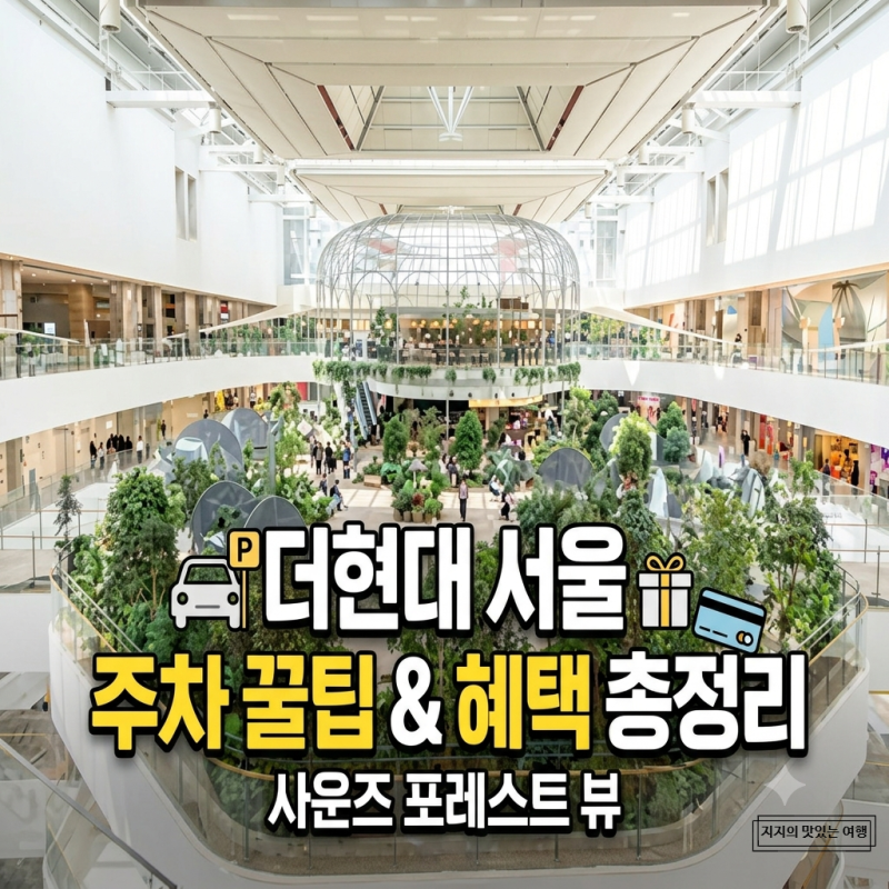 더현대 서울 주차 꿀팁! 주말 주차난 완벽 해결법 & 연회비 0원 현대백화점 카드 혜택 총정리