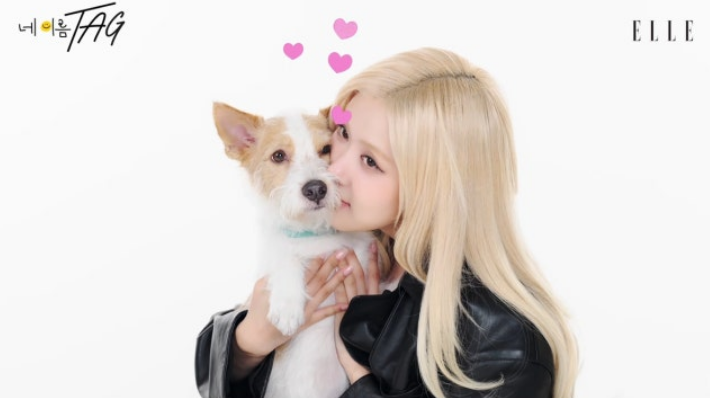 로제, 가방 속도 온통 행크 사랑 행크 닮은 강아지 인형