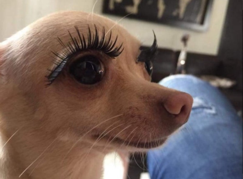 진짜 개짜증나서 돌아버린 보험설계사 해촉 후기