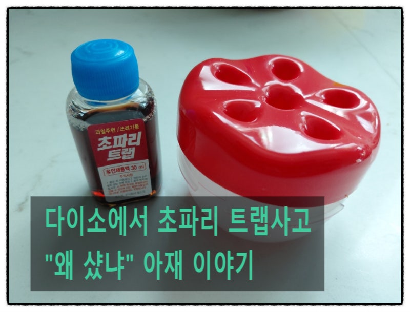 다이소 초파리 트랩하고 "왜샀냐고" 혼난 아재썰 (feat, 초파리트랩 실 사용 후기)