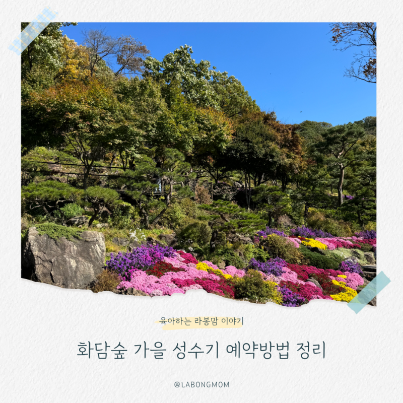 2026 화담숲 가을 예약방법, 모노레일·아이동반 꿀팁까지