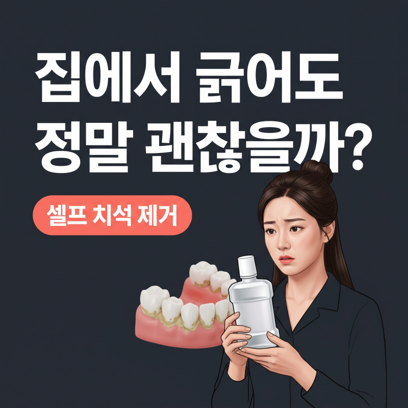셀프치석제거, 집에서 직접 긁어내기 전 꼭 확인해야 할 기준과 스케일링 주기