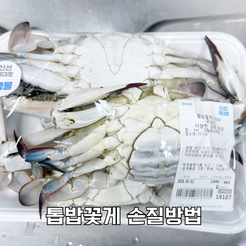 톱밥꽃게 손질법, 어디까지 씻고 손질해야 할까요?
