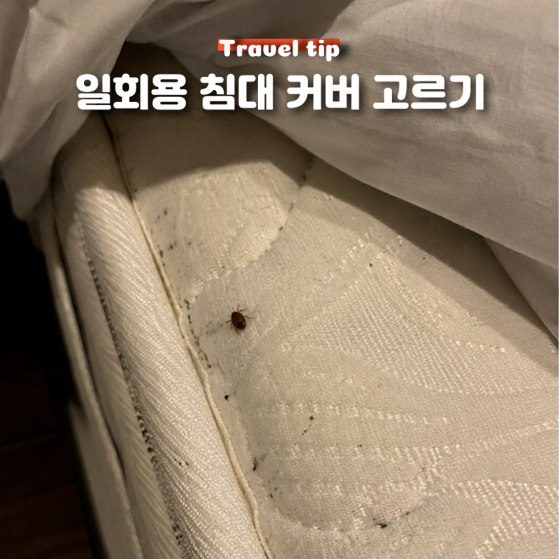 일회용 침대 커버 비교 해외여행 베드버그 빈대 방지 (내가 보려고 정리)