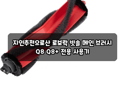 지인추천으로산 로보락 빗솔 메인 브러시 Q8 Q8+ 전용 사용기