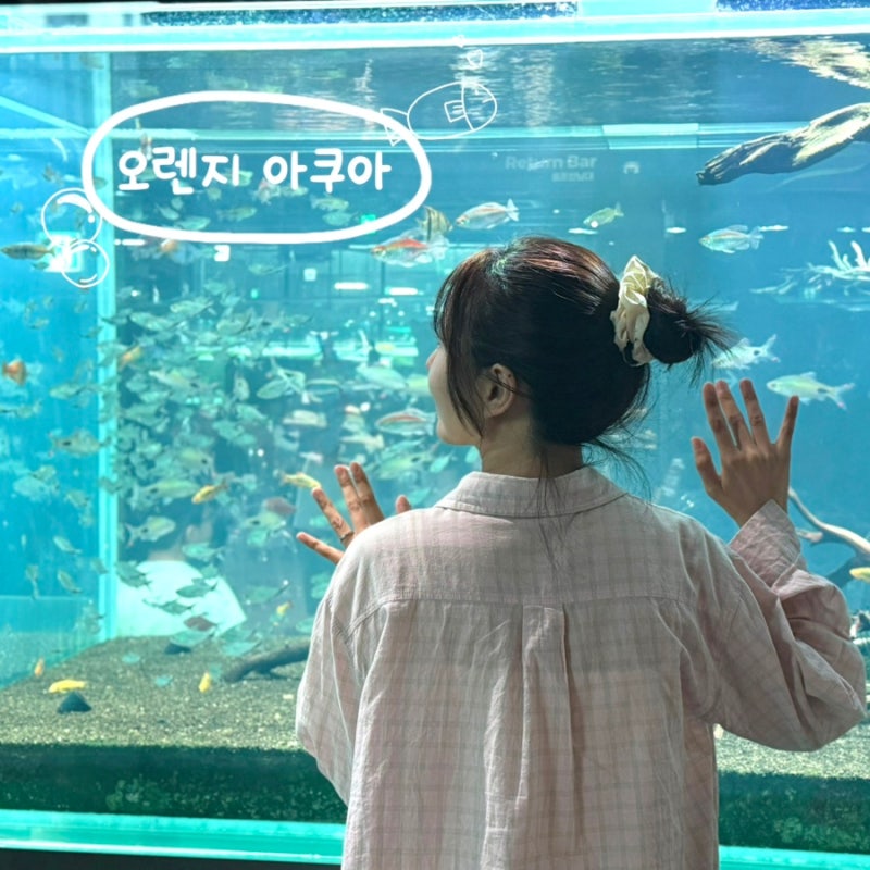 비오는날 일산가볼만한곳 수족관카페 오렌지아쿠아