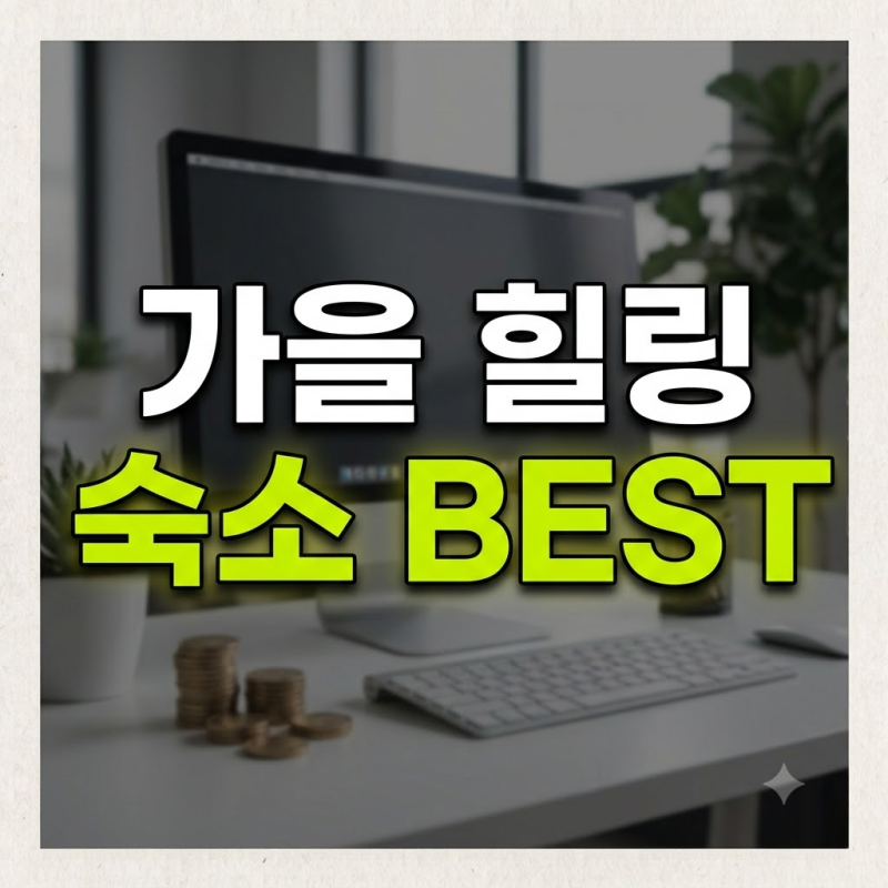 국내 가을 호캉스 호텔 BEST 4 추천!! 붉은단풍 뷰 인피니티 풀 & 힐링 온수스파 명소 총정리