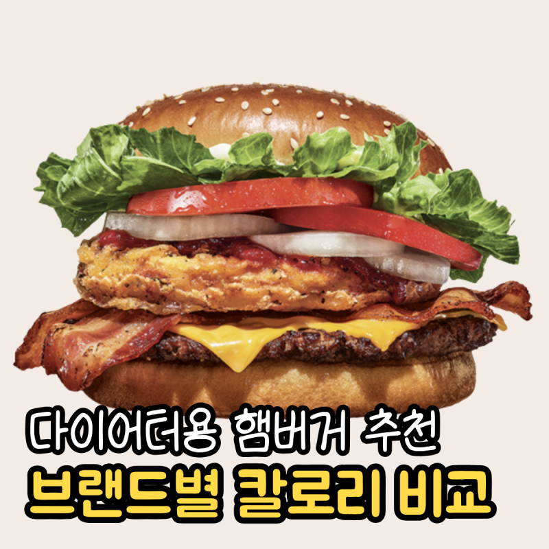 다이어트 중 햄버거 먹어도 될까? 맥도날드 버거킹 맘스터치 칼로리 비교