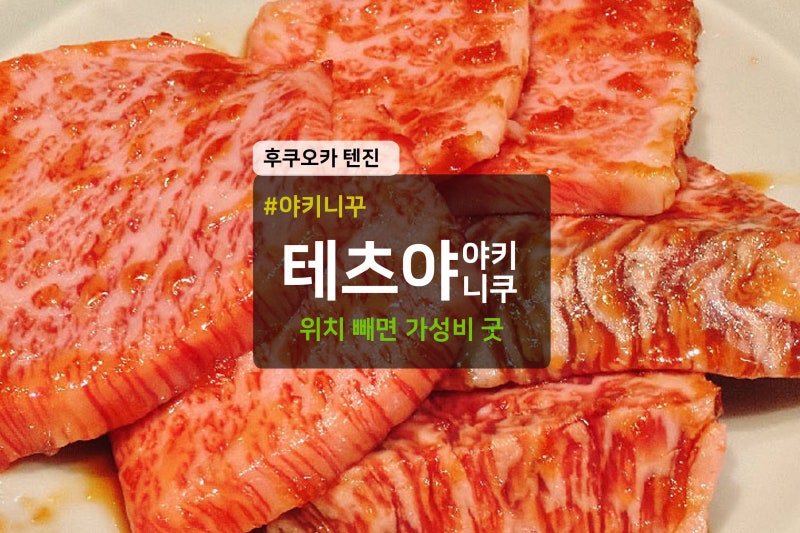 후쿠오카 가성비 야키니쿠 맛집 테츠야 텐진 무한리필 예약