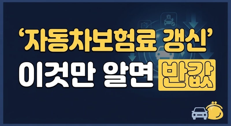 자동차보험 갱신 시 꼭 넣어야 할 특약 vs 돈 아까운 불필요한 특약 총정리