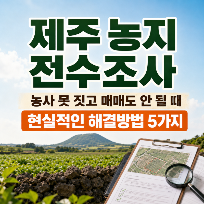 농지 전수조사, 농사를 못 짓고 매매도 안 될 때 현실적인 해결방법 5가지