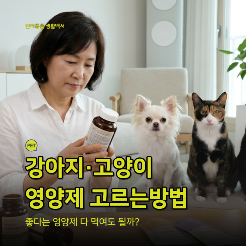강아지 고양이 영양제 선택 기준｜광고보다 먼저 확인해야 할 7가지