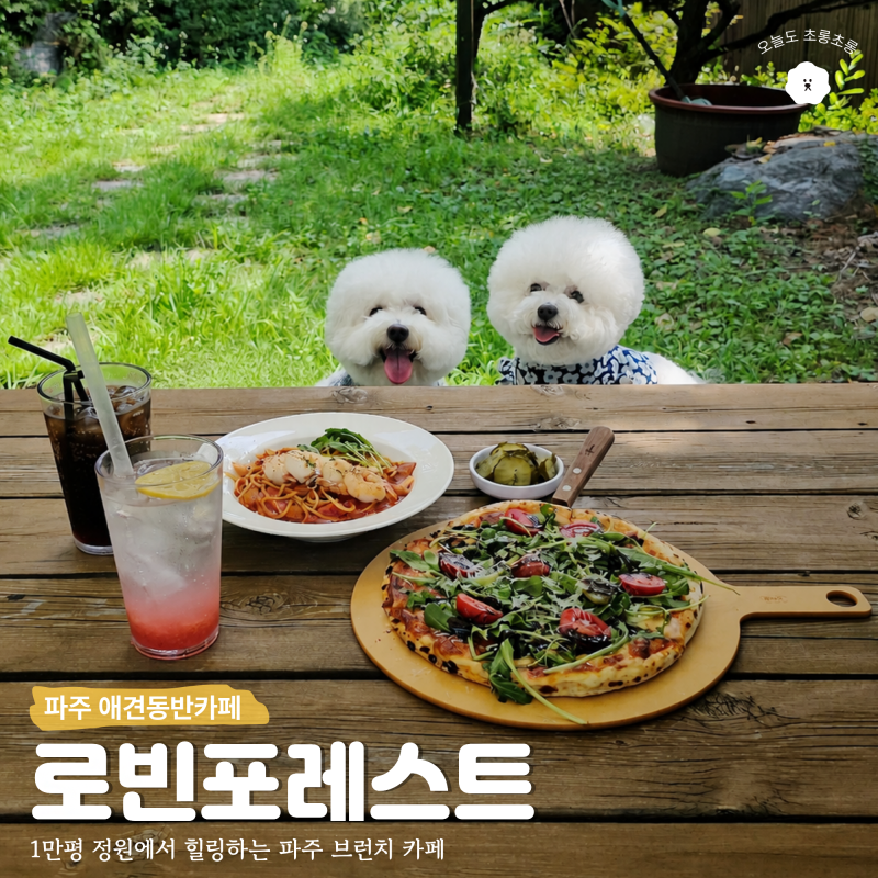 파주 브런치 카페 로빈포레스트 대형 정원 애견동반카페