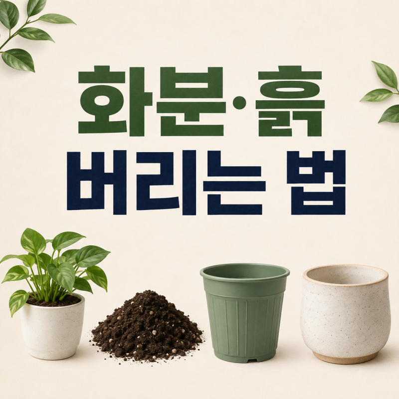 화분 흙 버리는 법｜식물·도자기·플라스틱 화분 분리배출 방법, 죽은 식물과 화분 버리는 ....