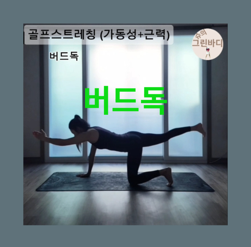 골프 버드독 운동 1 움직이는 팔다리 속에서도 흔들리지 않는 몸통이 좋은 스윙을 만든다